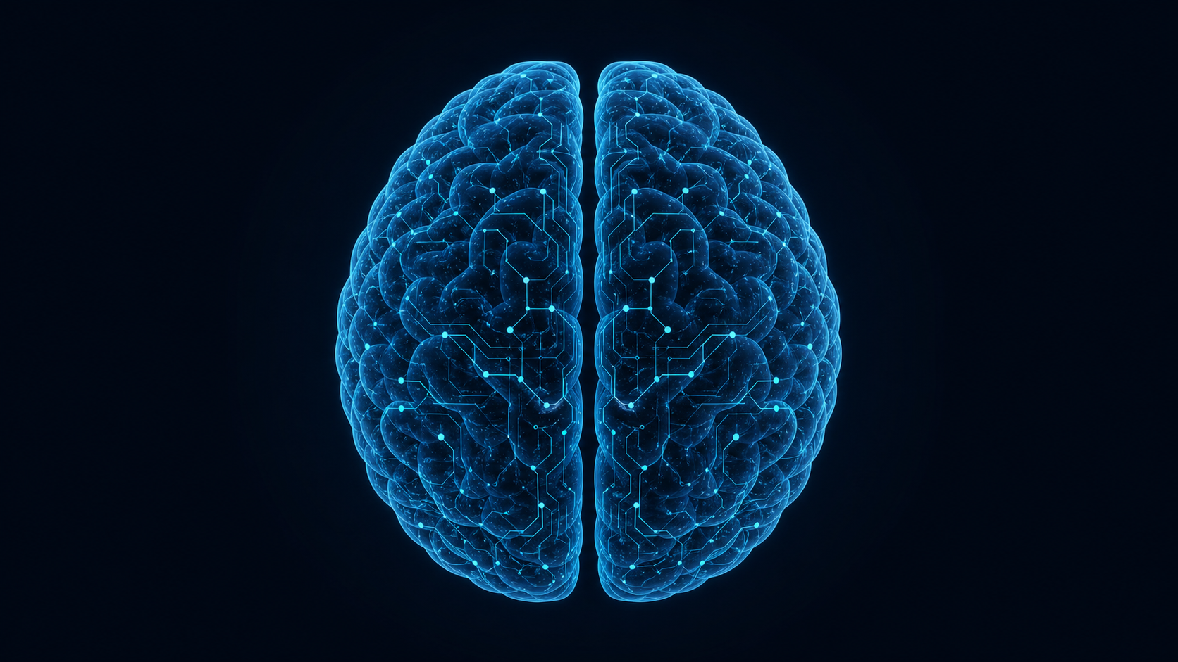 Top-down two-hemisphere illustrative brain foundation